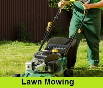 lawn-mowing-services